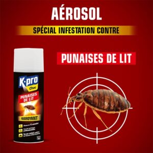 Aérosol foudroyant punaises de lit Kapo 400ml