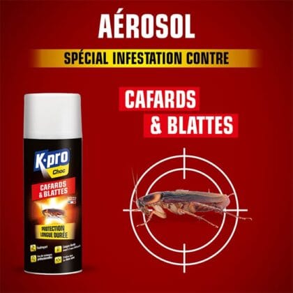 Aérosol cafards et blattes K.PRO 400ml