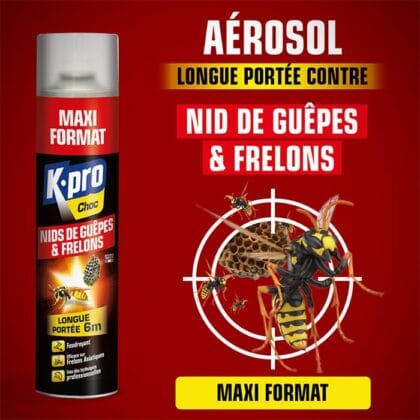 Aérosol foudroyant nids de guêpes et frelons K.pro 600ml