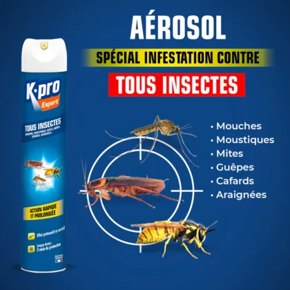 Aérosol tout insectes Krpo 300ml